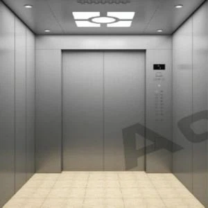 Elevator Kummerċjali Standard