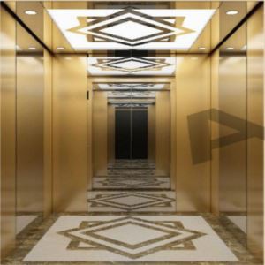 Elevator tal-Villa tal-Azzar Inossidabbli tal-Mirja tad-Deheb tat-Titanju